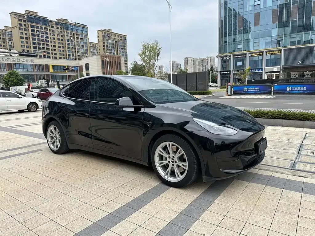 Tesla Model Y — фото 2