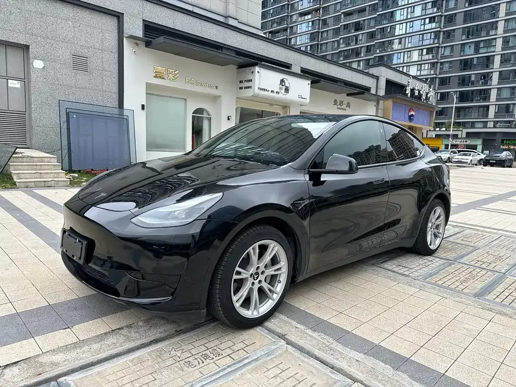 Tesla Model Y — фото 3
