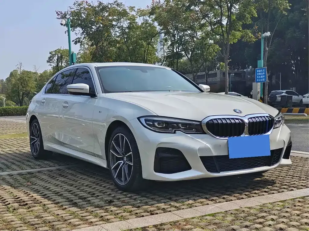 BMW 3 Series 2021 из CN, фото 3