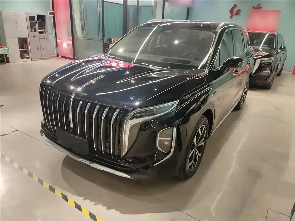 Hongqi HS7 2023 из CN, фото 2