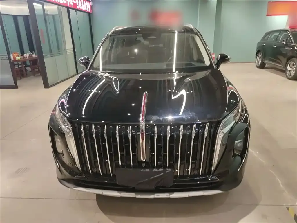 Hongqi HS7 2023 из CN, фото 3