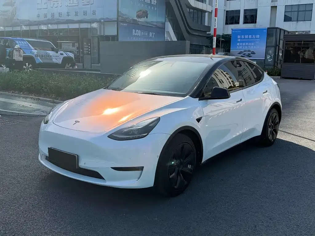 Tesla Model Y 2021 из CN, фото 1