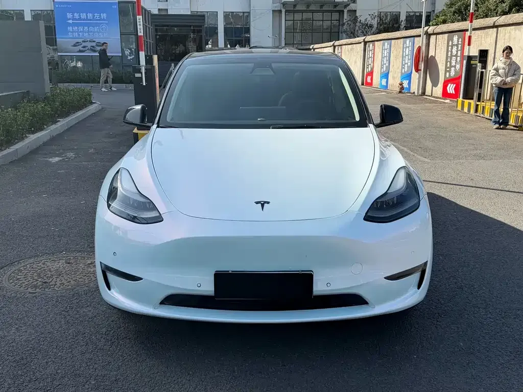 Tesla Model Y 2021 из CN, фото 2
