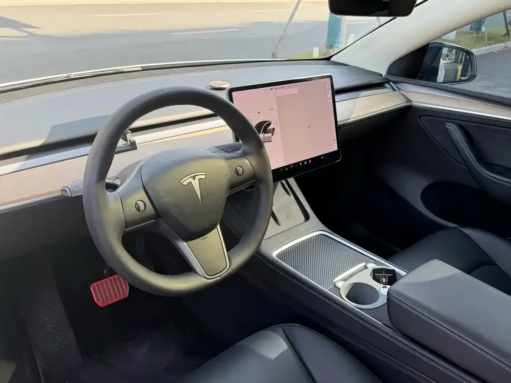 Tesla Model Y 2021 из CN, фото 3