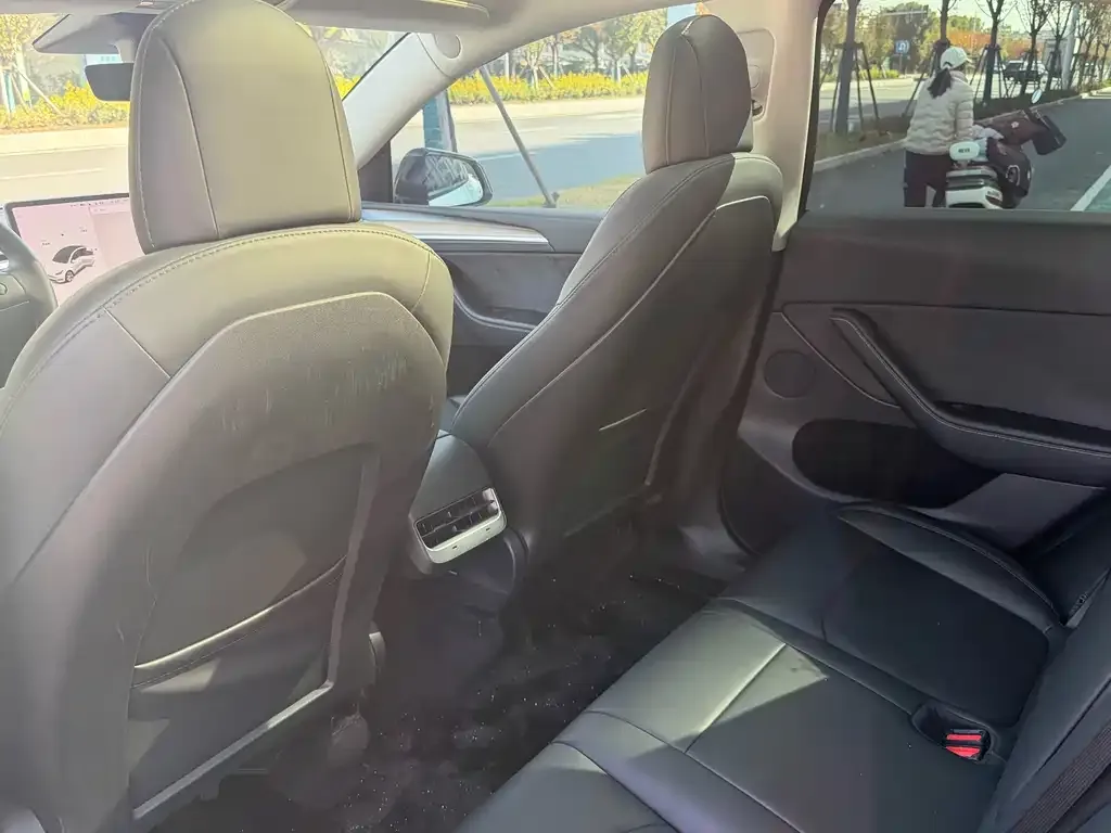 Tesla Model Y 2021 из CN, фото 4
