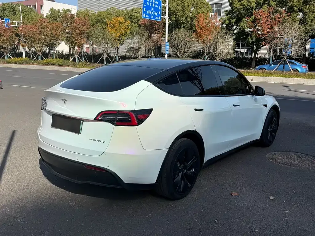 Tesla Model Y 2021 из CN, фото 5