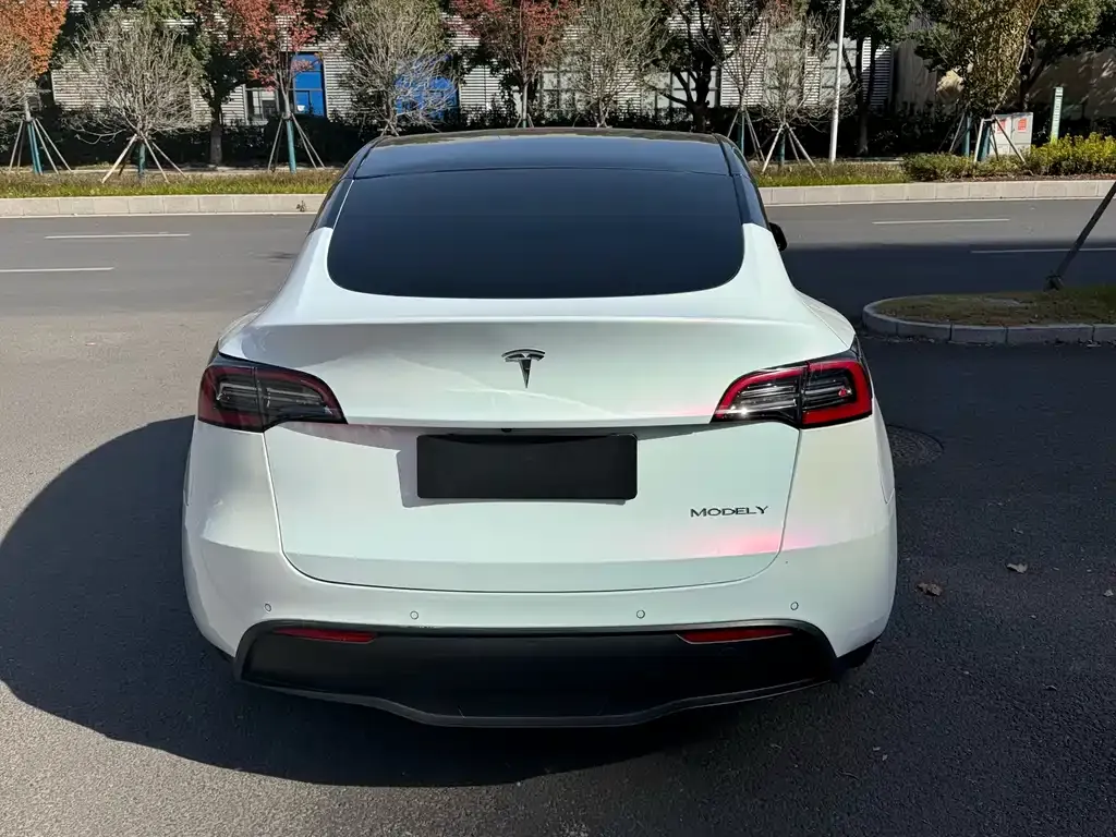 Tesla Model Y 2021 из CN, фото 6