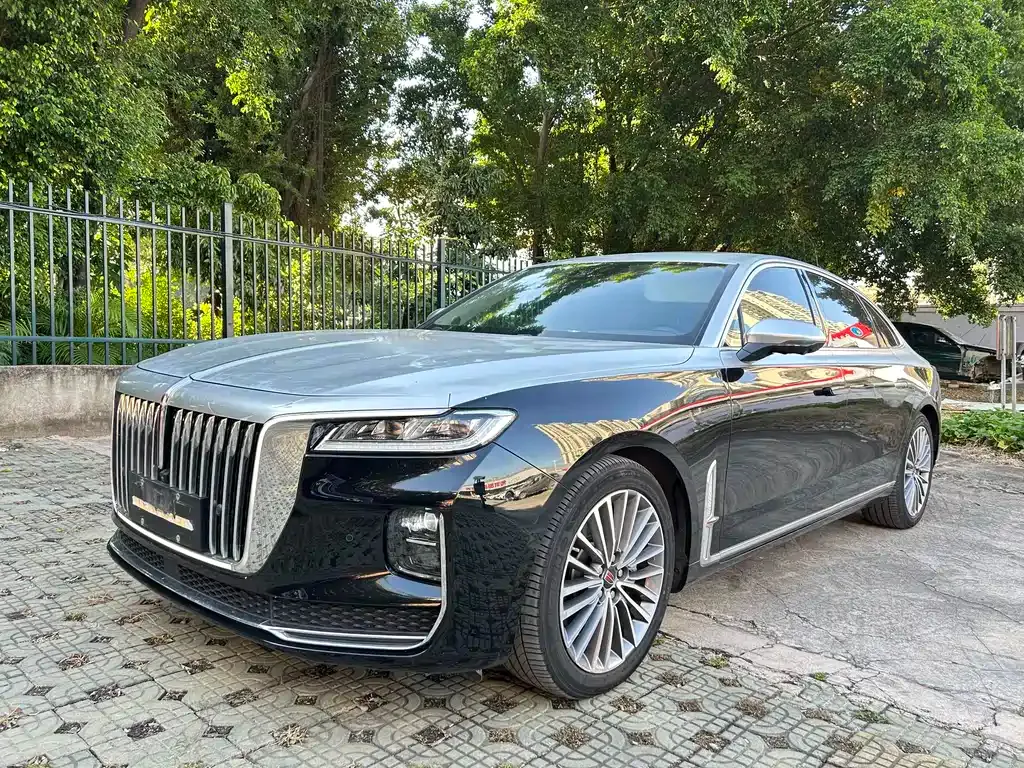 Hongqi H9 2021 из CN, фото 2