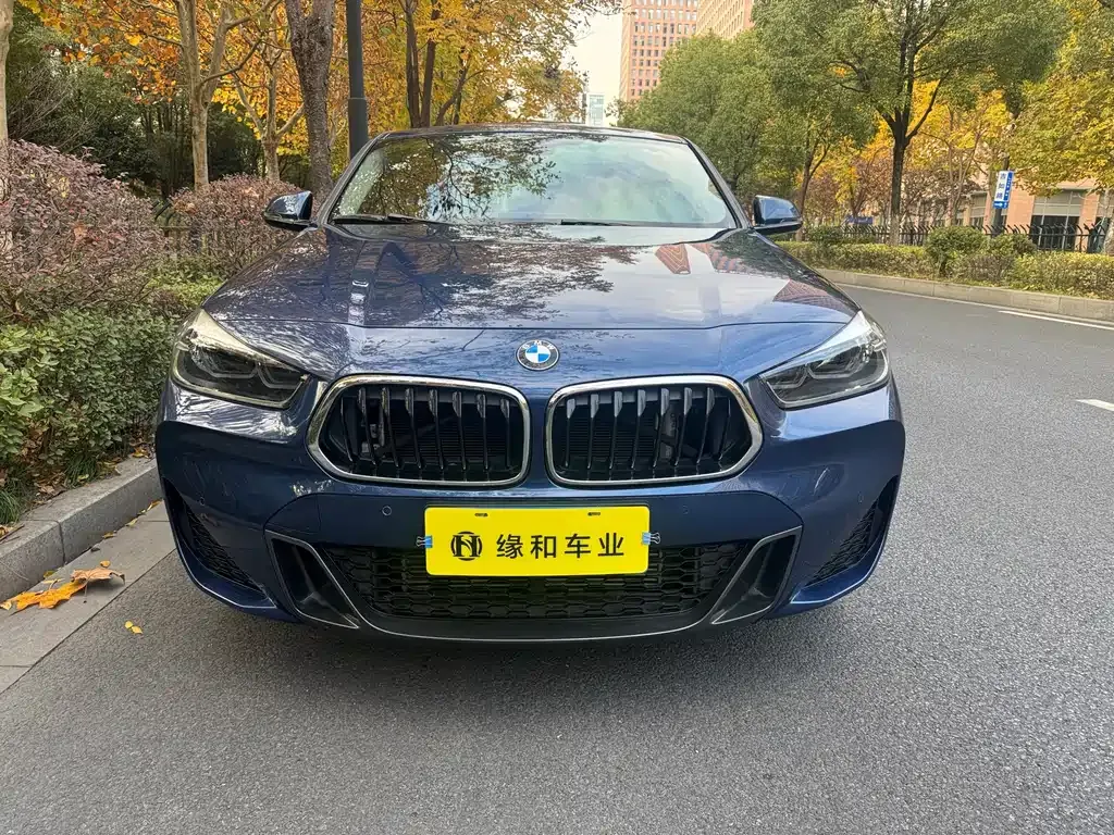 BMW X2 2022 из CN, фото 2