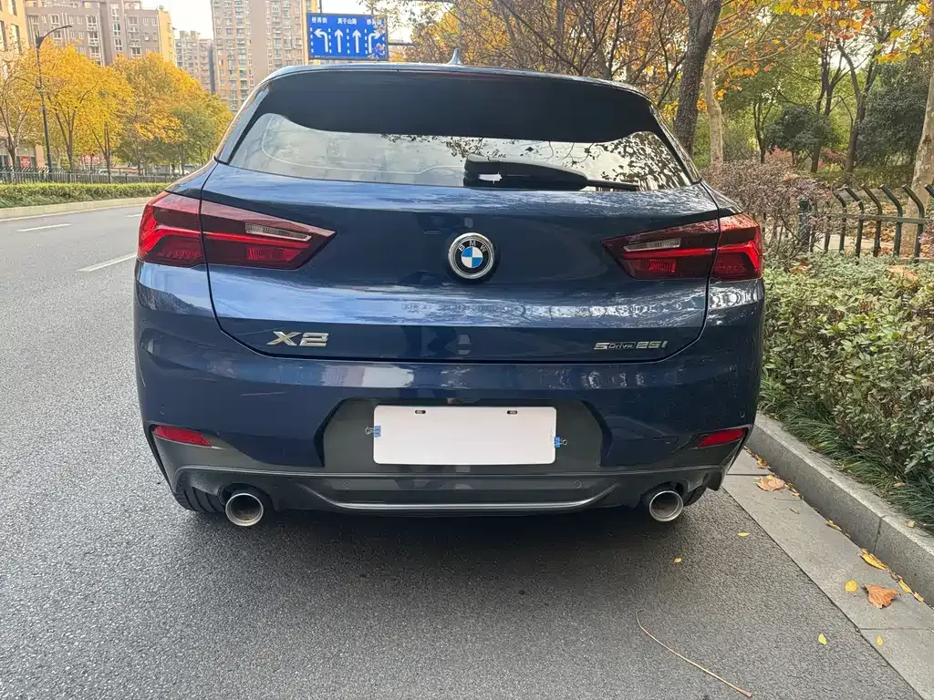 BMW X2 2022 из CN, фото 4