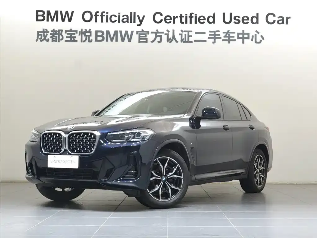 BMW X4 2022 из CN, фото 1