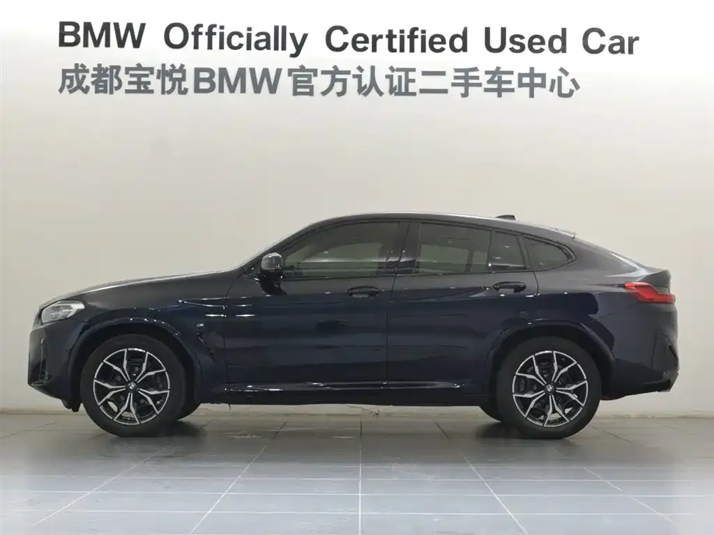 BMW X4 2022 из CN, фото 4
