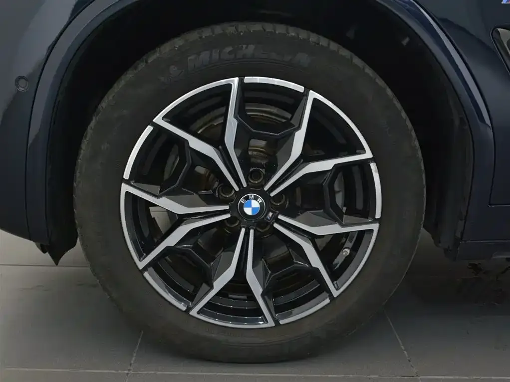 BMW X4 2022 из CN, фото 6