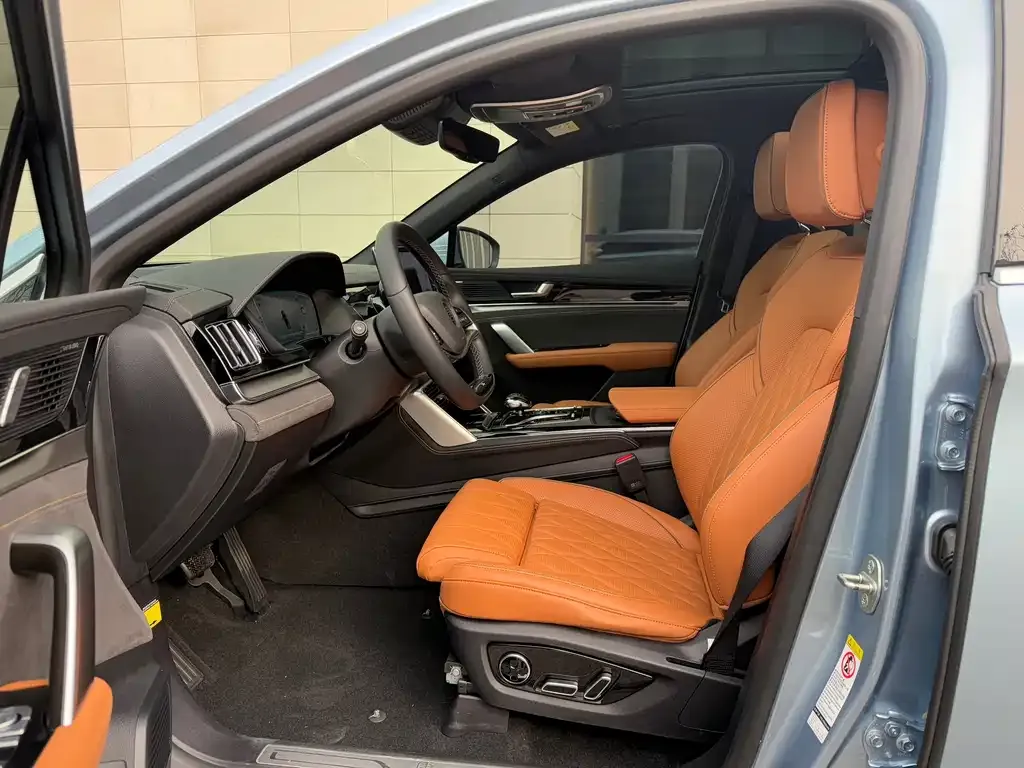 BYD Tang New Energy 2023 из CN, фото 10