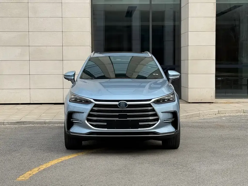 BYD Tang New Energy 2023 из CN, фото 2