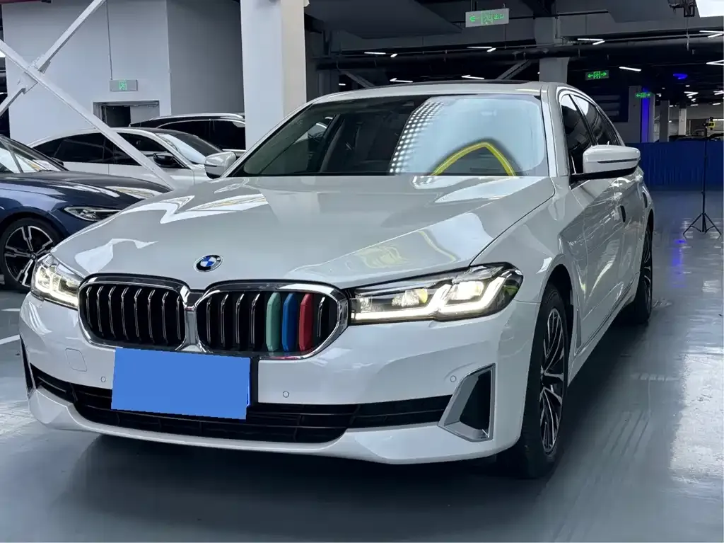 BMW 5 Series 2021 из CN, фото 1