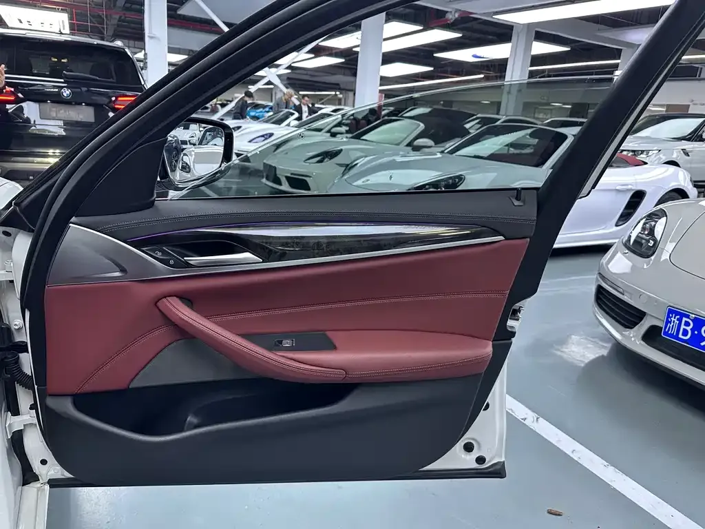 BMW 5 Series 2021 из CN, фото 10