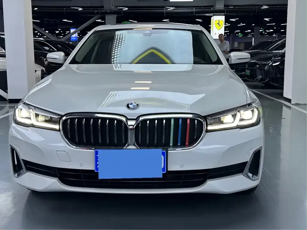 BMW 5 Series 2021 из CN, фото 2