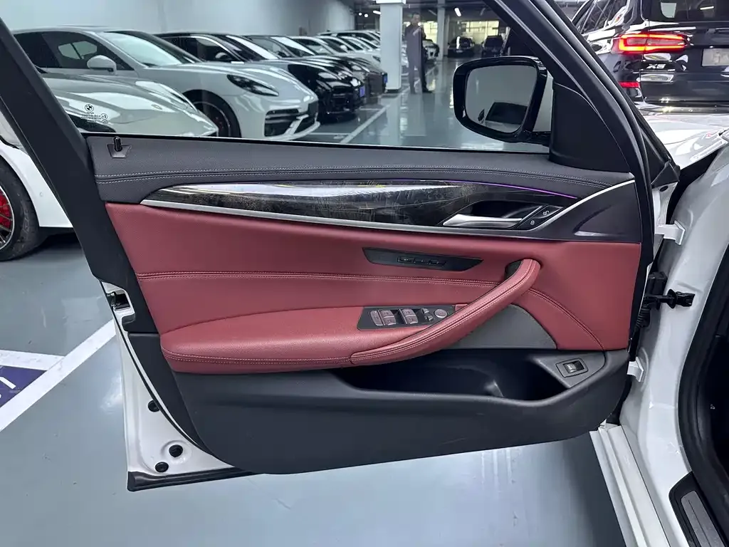 BMW 5 Series 2021 из CN, фото 4