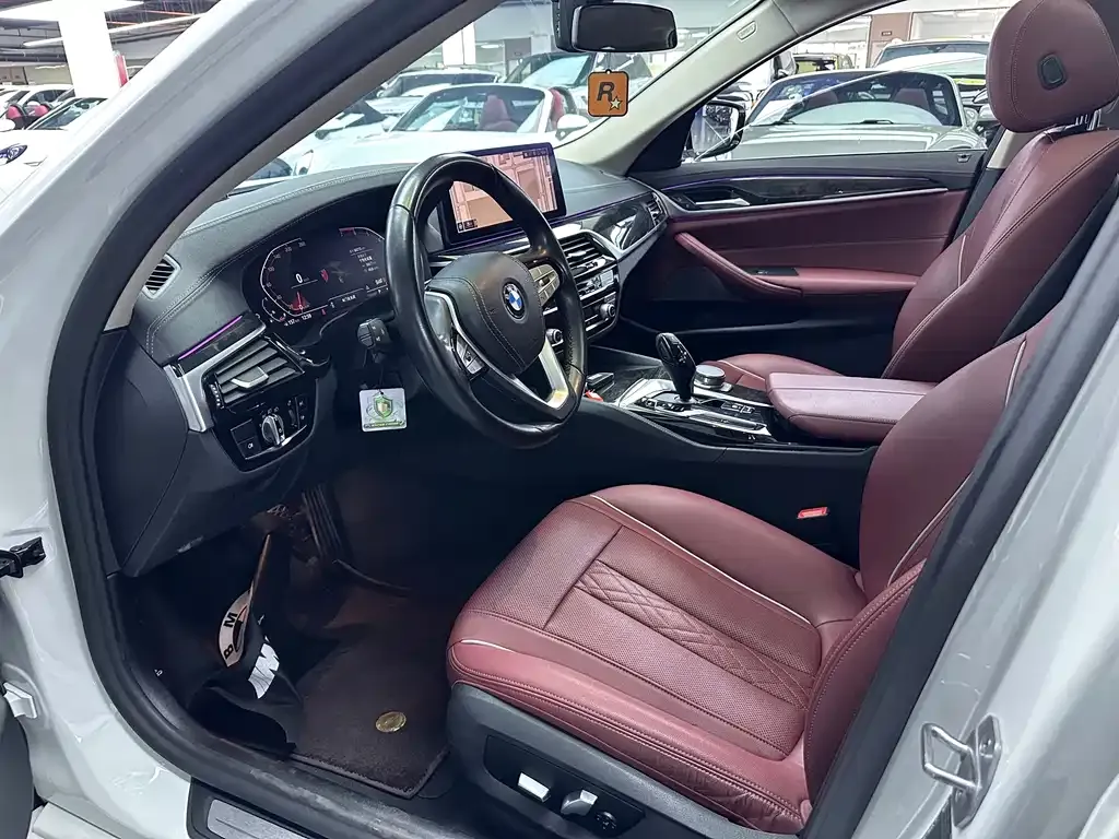 BMW 5 Series 2021 из CN, фото 5