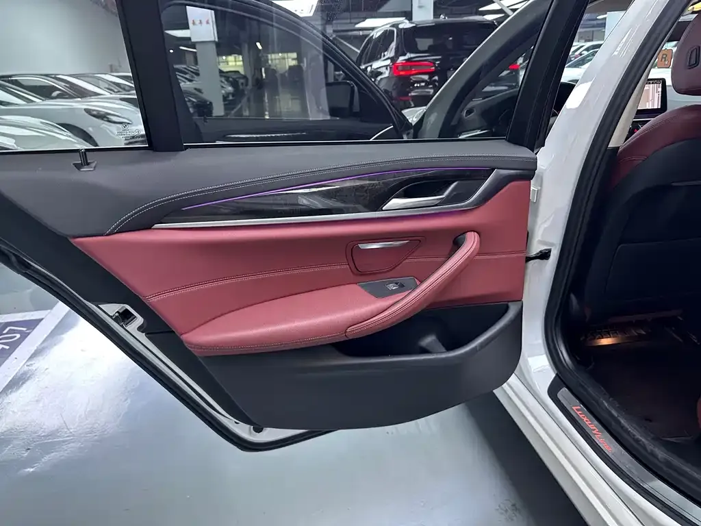 BMW 5 Series 2021 из CN, фото 6