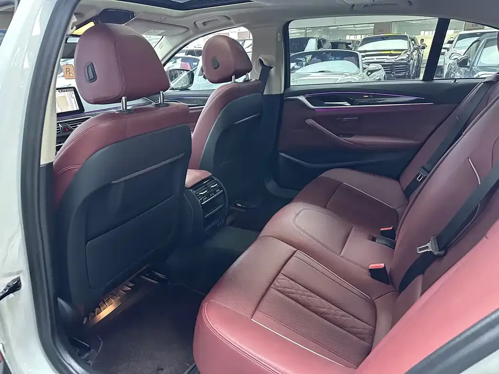 BMW 5 Series 2021 из CN, фото 7