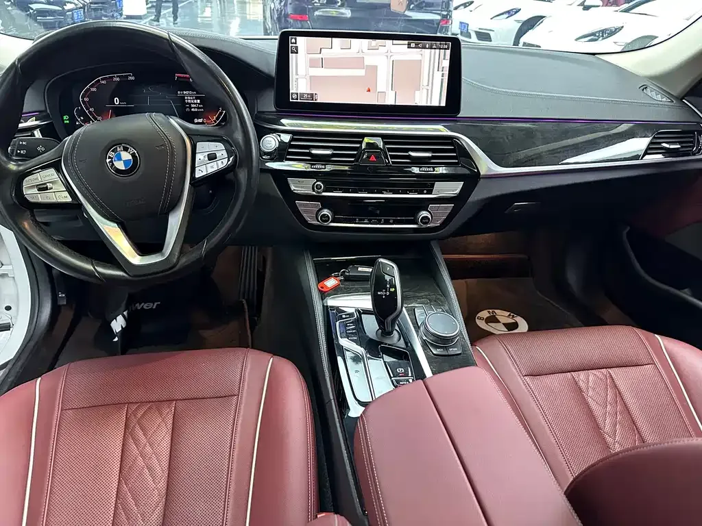 BMW 5 Series 2021 из CN, фото 8