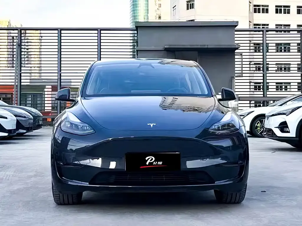 Tesla Model Y — фото 2