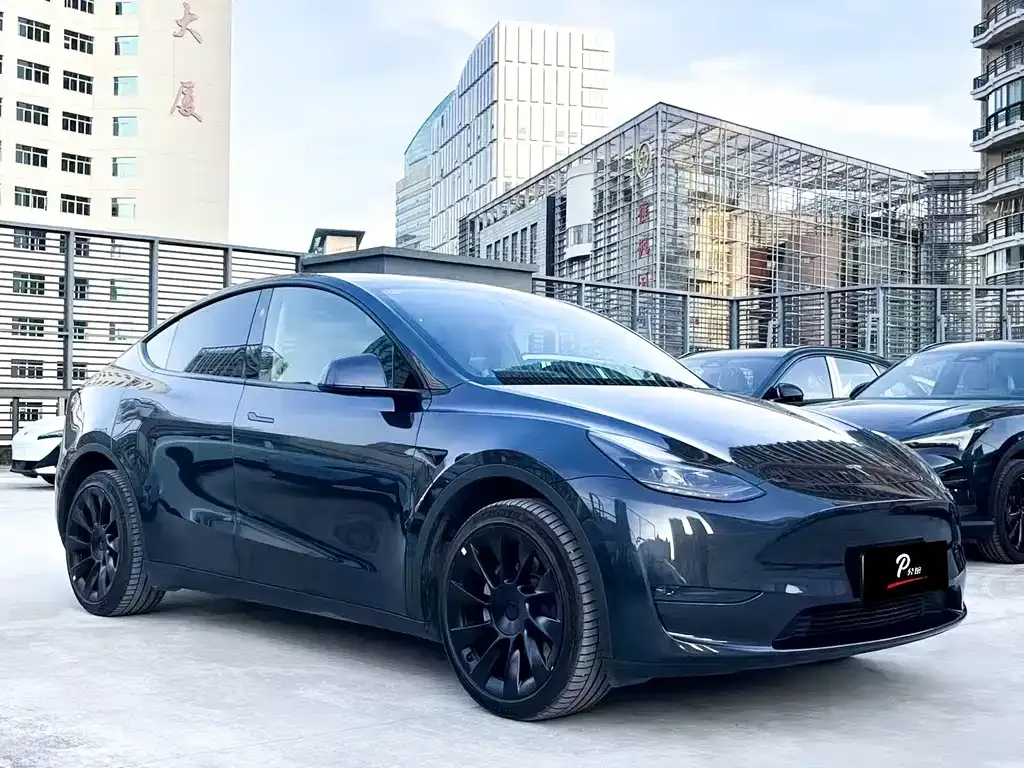 Tesla Model Y — фото 3