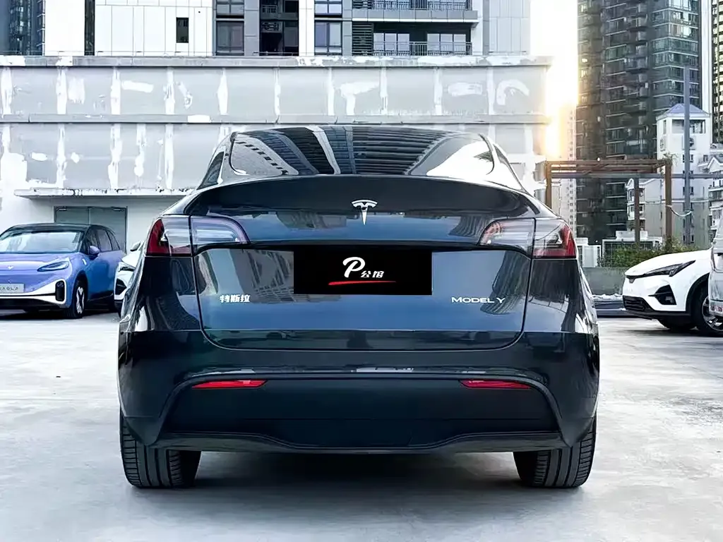 Tesla Model Y — фото 5