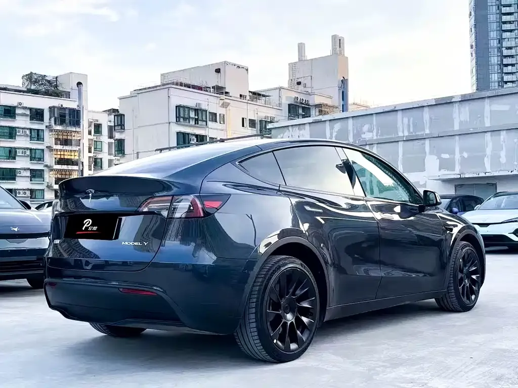 Tesla Model Y — фото 6