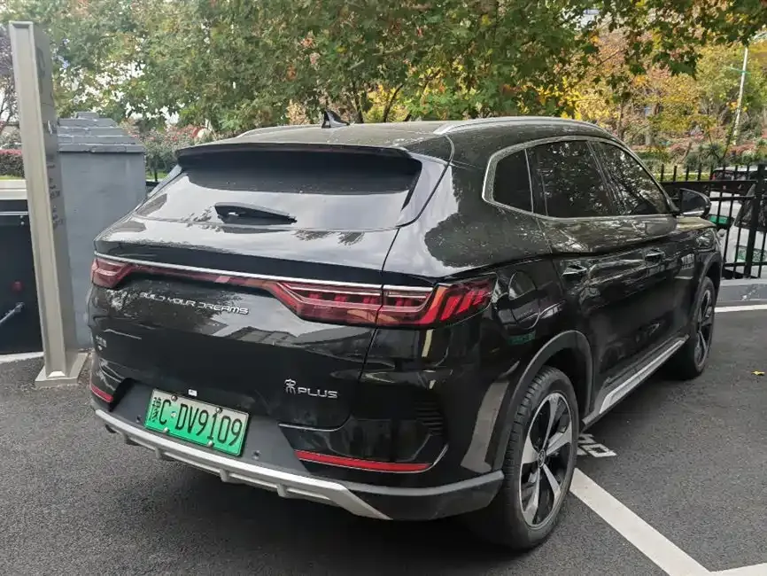 BYD PLUS New Energy 2023 из CN, фото 2