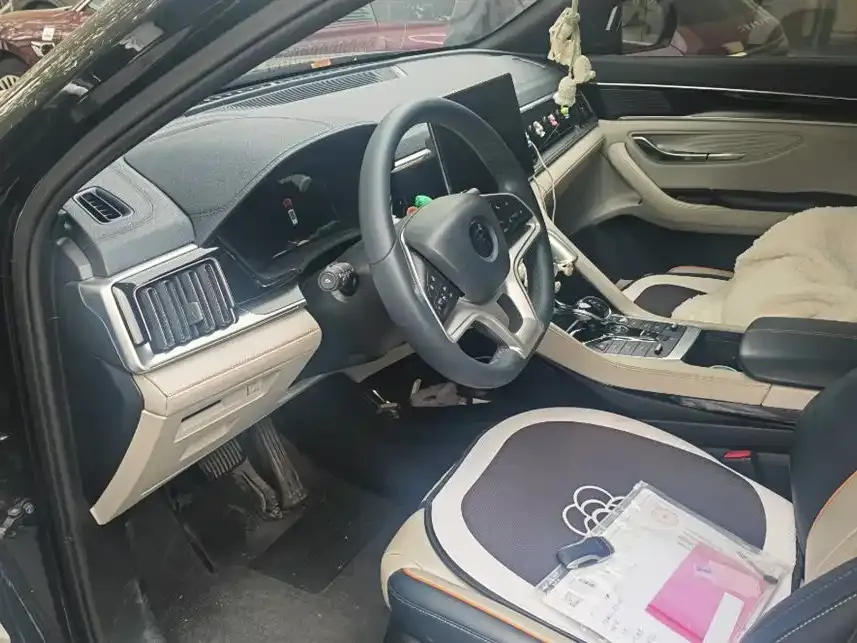 BYD PLUS New Energy 2023 из CN, фото 3