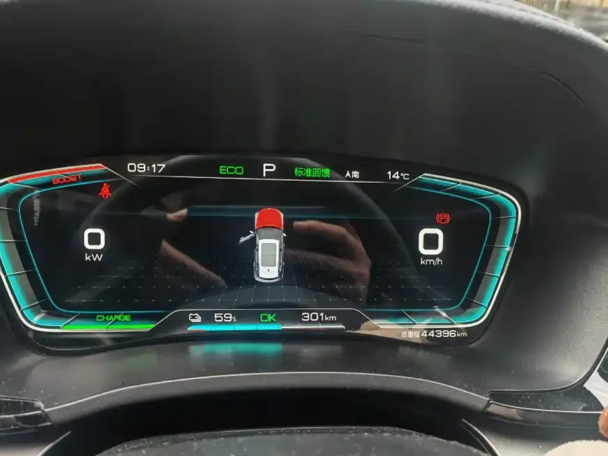 BYD PLUS New Energy 2023 из CN, фото 4