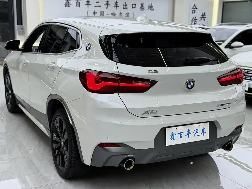 BMW X2 2021 из CN, фото 10