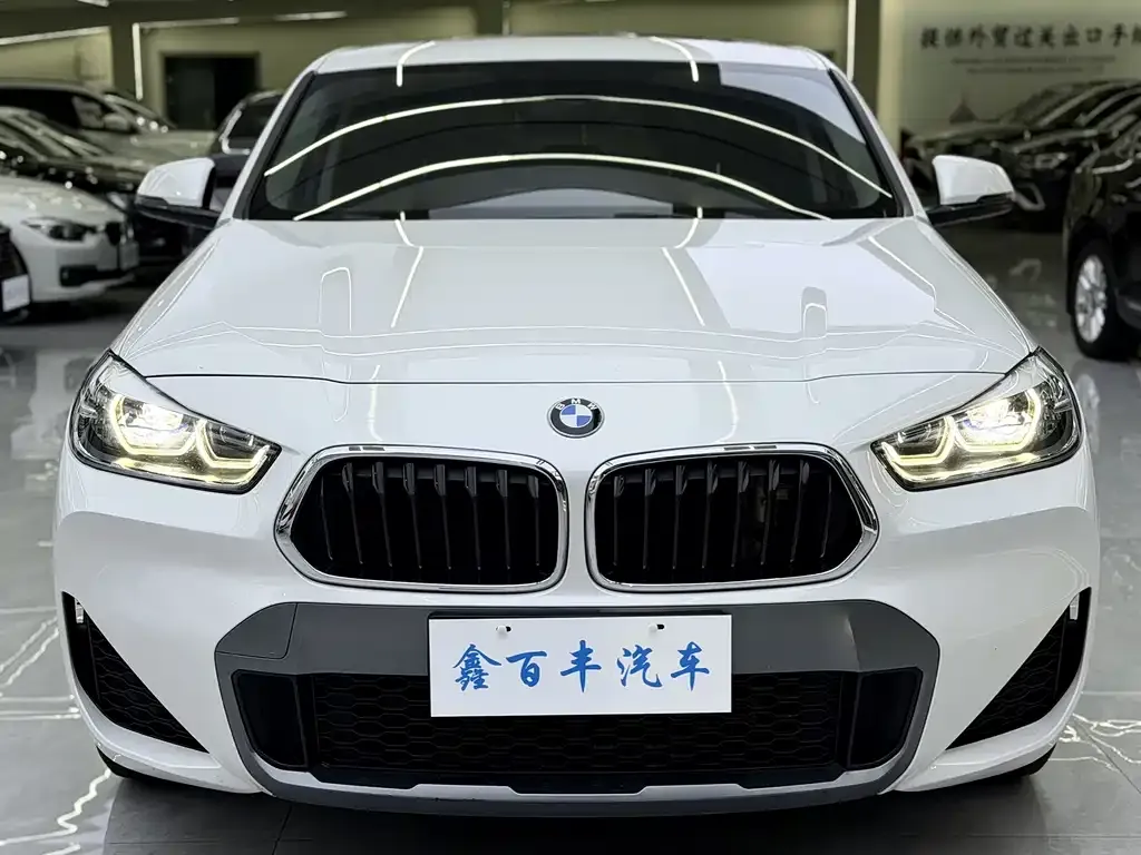 BMW X2 2021 из CN, фото 2