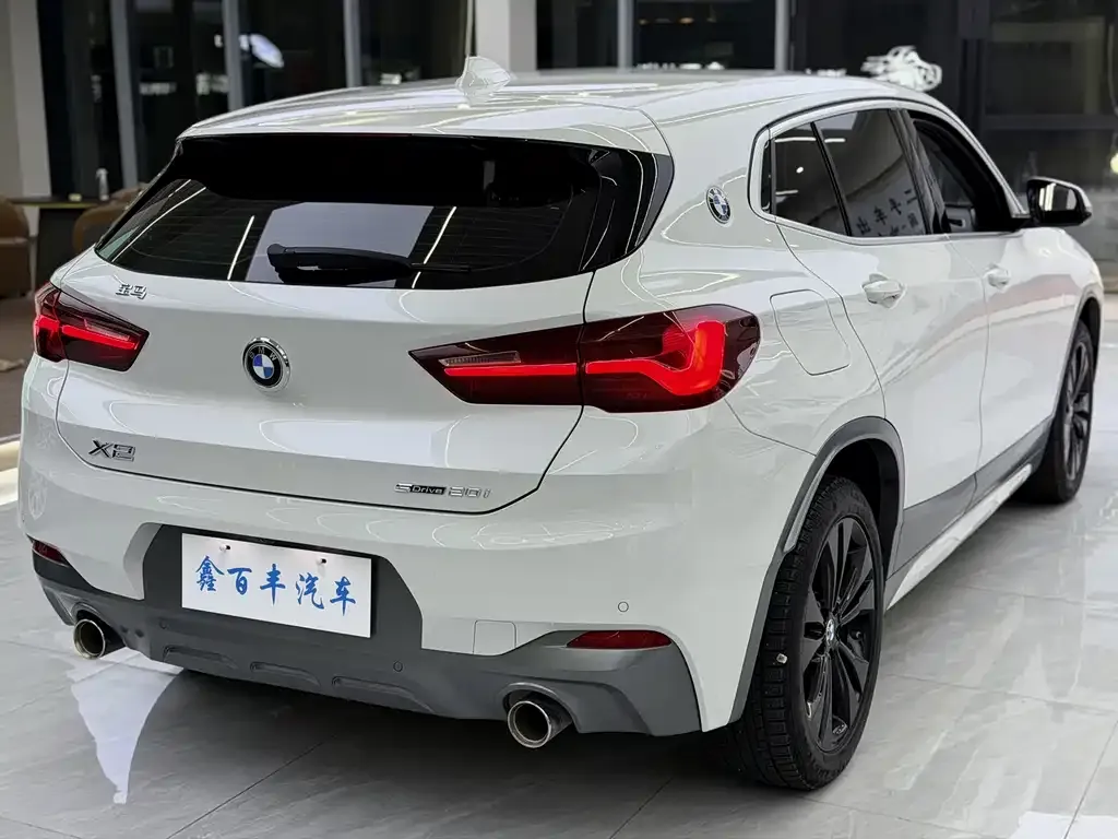 BMW X2 2021 из CN, фото 8