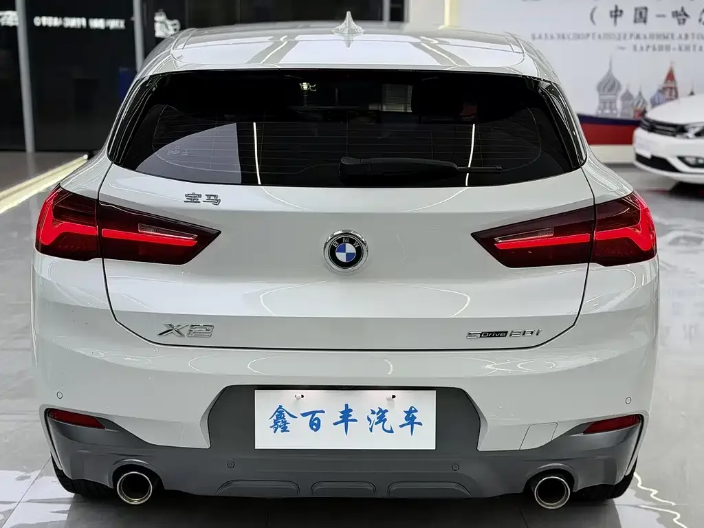 BMW X2 2021 из CN, фото 9