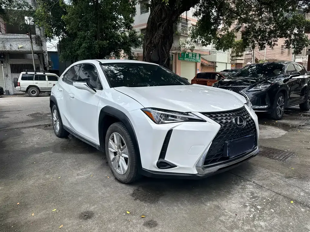 Lexus UX 2021 из CN, фото 2