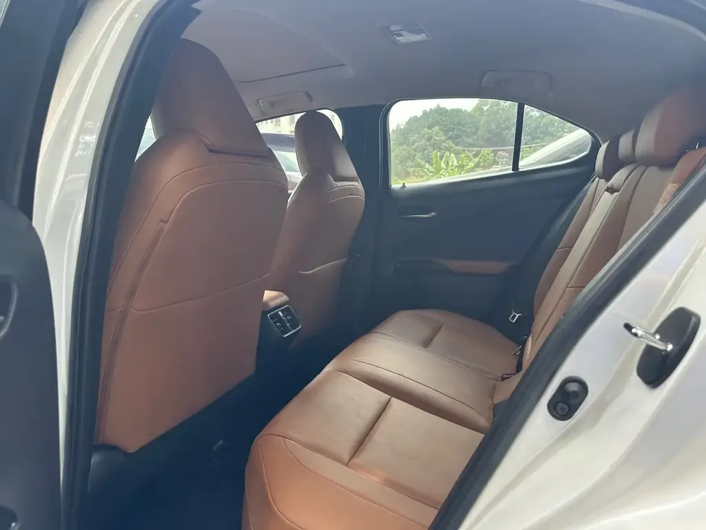 Lexus UX 2021 из CN, фото 5