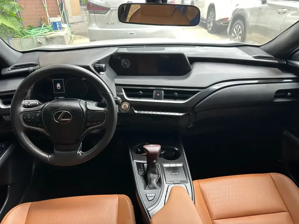 Lexus UX 2021 из CN, фото 6