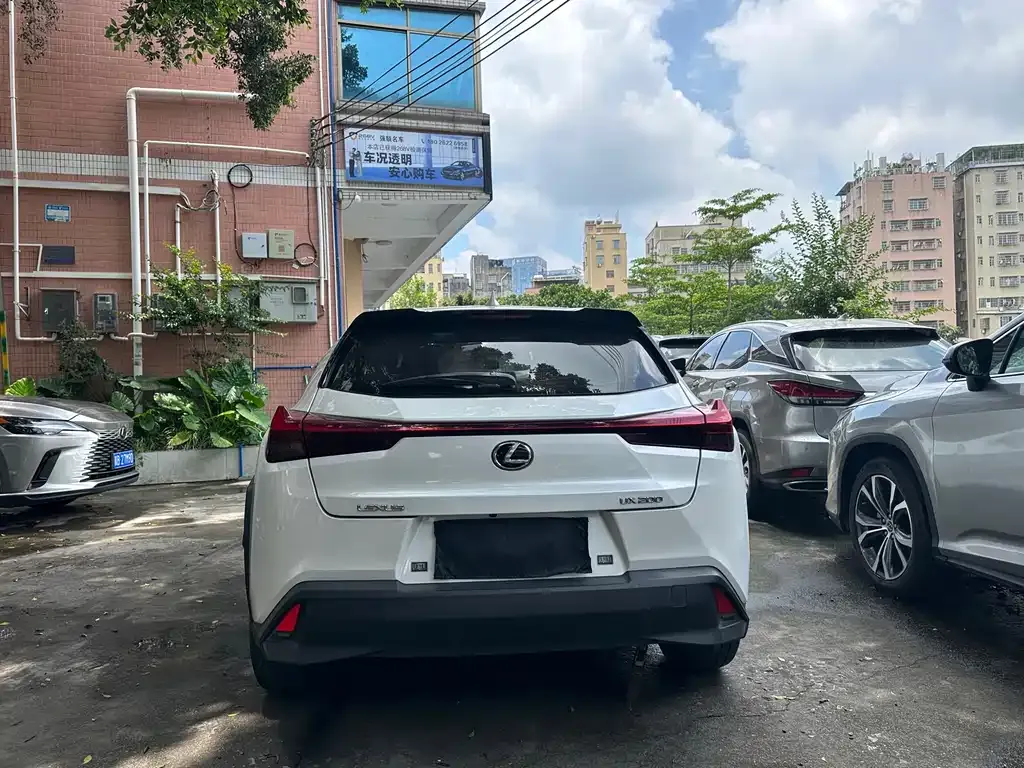 Lexus UX 2021 из CN, фото 7