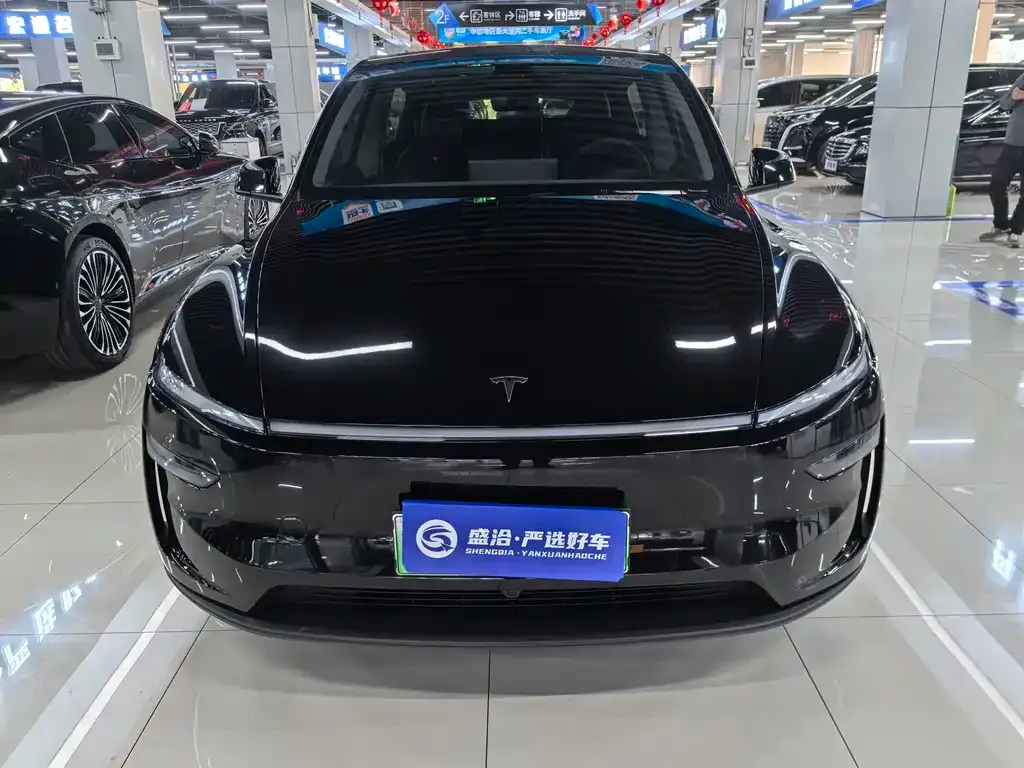 Tesla Model Y 2025 из CN, фото 2