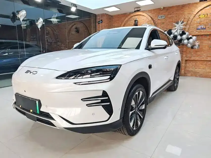 BYD PLUS New Energy — фото 1