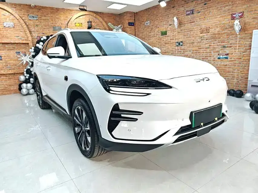 BYD PLUS New Energy — фото 2