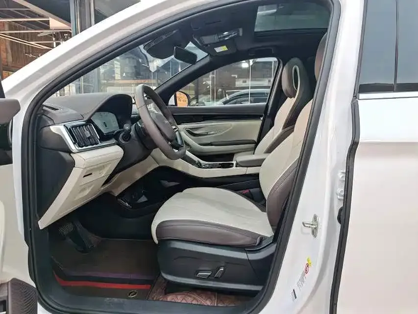 BYD PLUS New Energy — фото 4