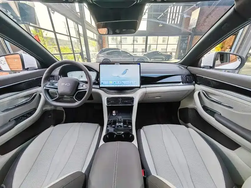 BYD PLUS New Energy — фото 8