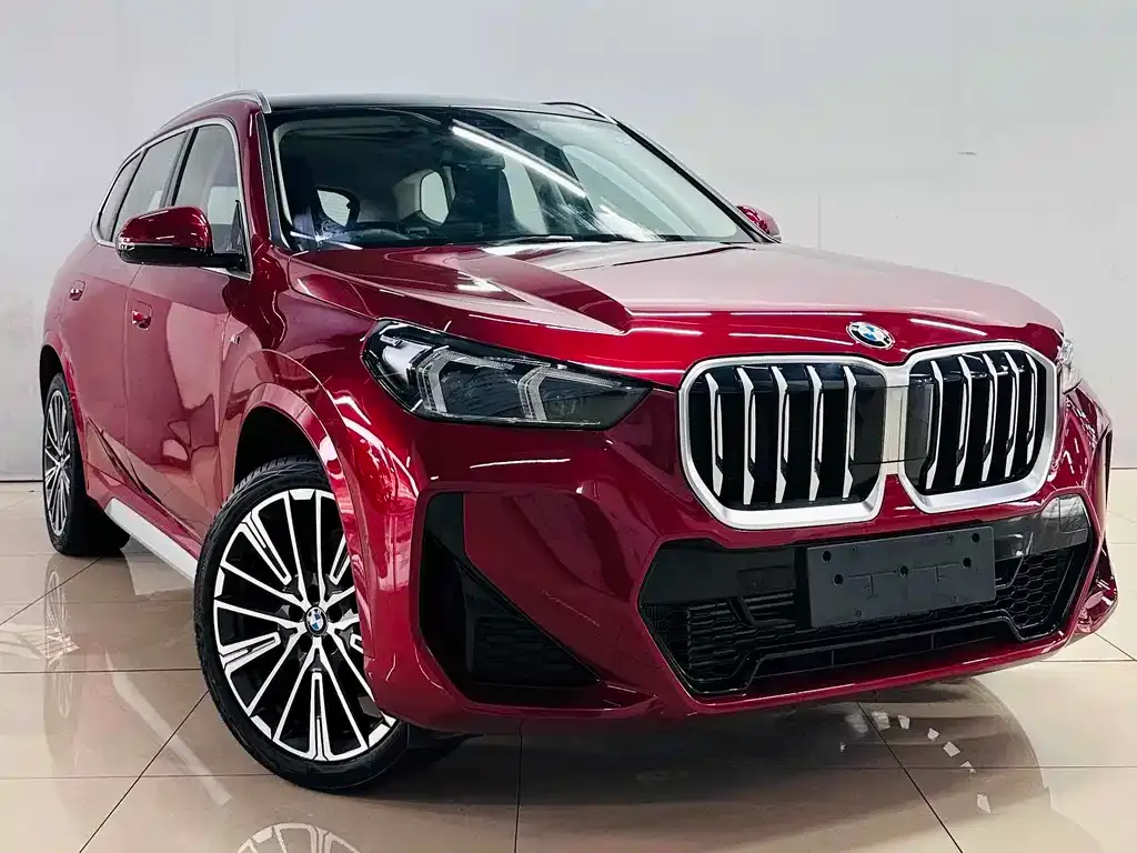 BMW X1 2024 из CN, фото 3