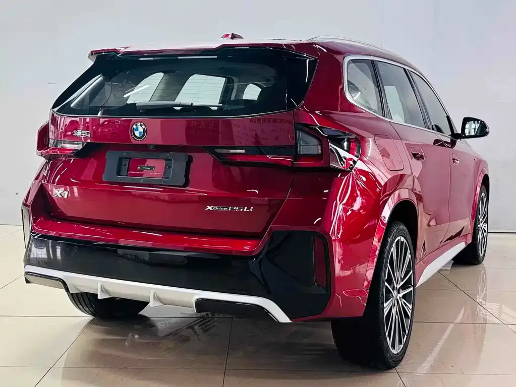 BMW X1 2024 из CN, фото 6