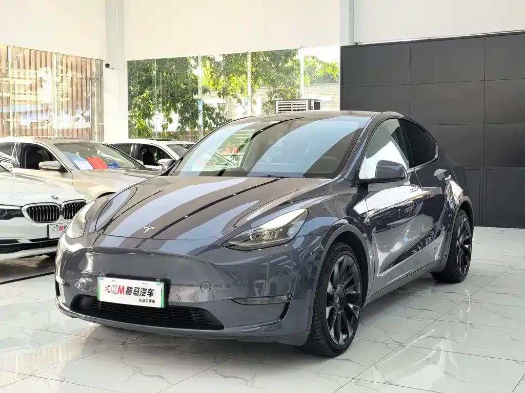 Tesla Model Y 2021 из CN, фото 1